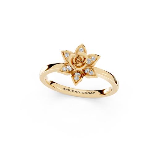 The Lancaster Radiance